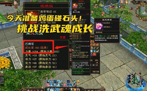 天龙八部武魂成长怎么洗[图2]