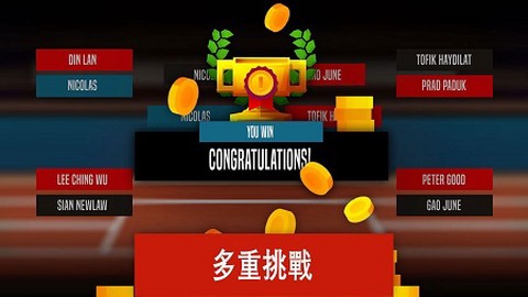 羽毛球高手图1