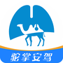 荒岛求生生存