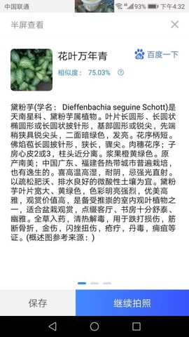 金牌扫描图3