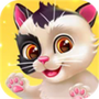 我的猫咪