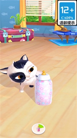 我的猫咪图2