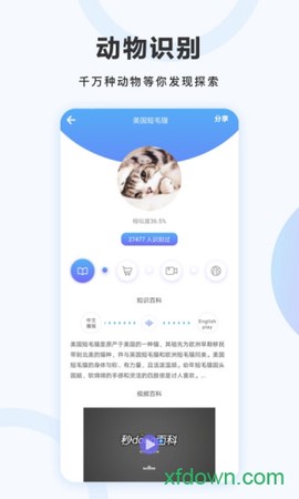 万图拍图2