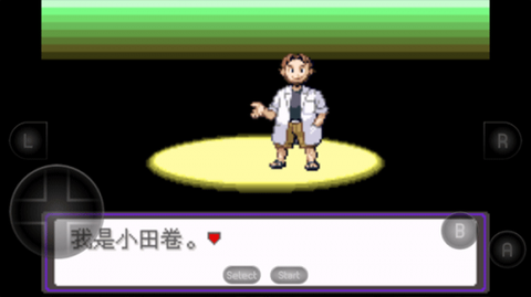 口袋妖怪漆黑的魅影[图3]