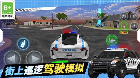 警察追捕行动2020图1