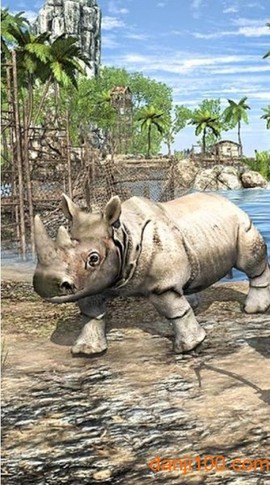 海岛荒野生存图2