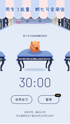 专注崽崽图2