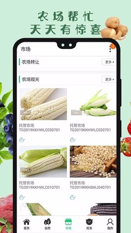 云耕田园图1