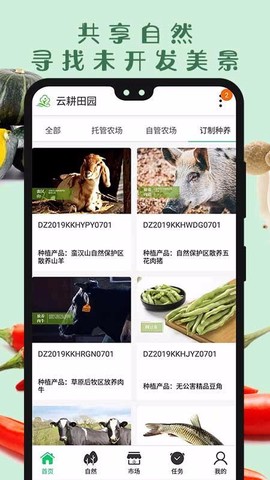 云耕田园图3