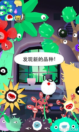 宝宝植物盆栽试验图1