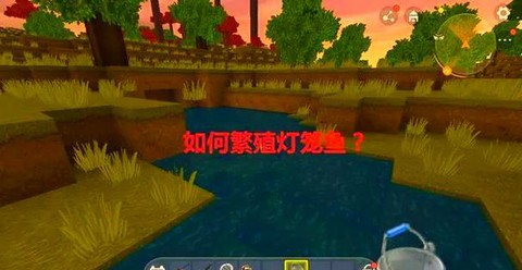 迷你世界灯笼鱼怎么养[图2]