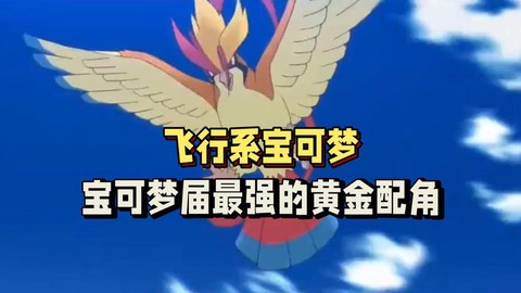 口袋妖怪飞行系被什么克