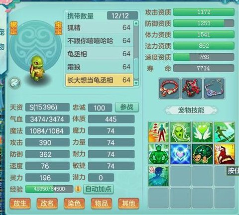 神武dt带什么宝宝