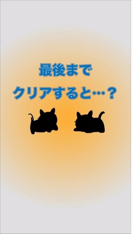 猫咪不见了图1