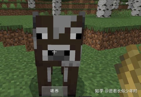 我的世界动物吃什么[图1]