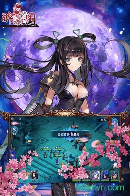 醉游三国图3