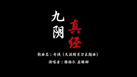 九阴真经是什么意思