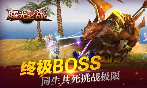 曙光之战图3