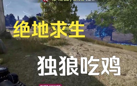 绝地求生独狼什么意思[图2]