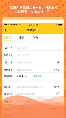 金猪岛图1