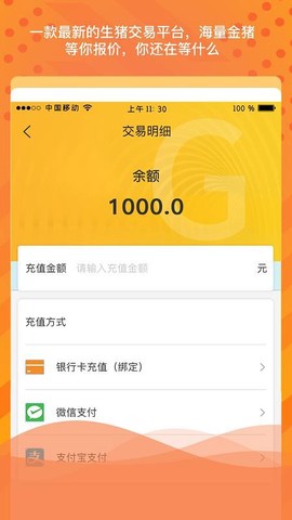 金猪岛图2