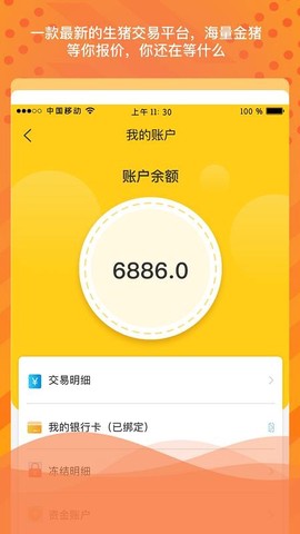 金猪岛图3