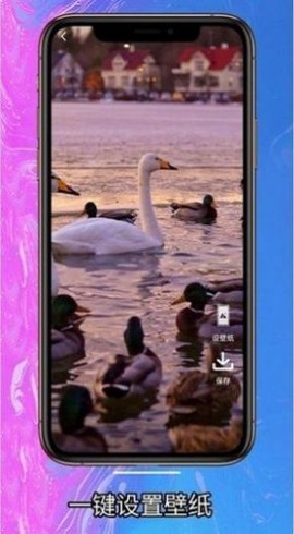 简约壁纸图3