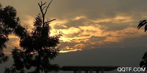 有光相机[图3]