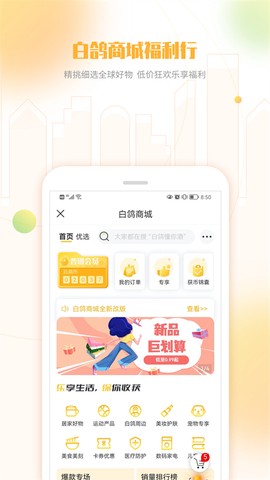 白鸽乐保图2