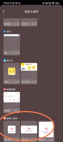 鲸鱼小组件[图1]