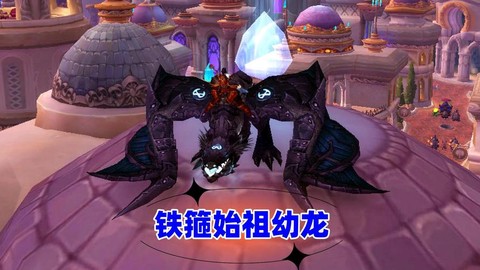 魔兽铁花是什么饰品