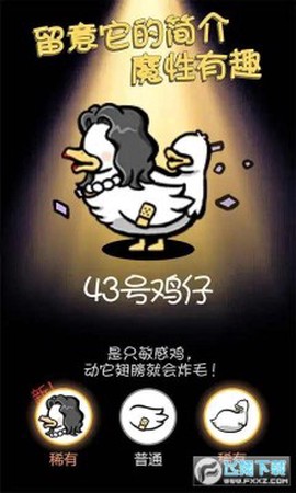 小鸡真奇怪[图1]