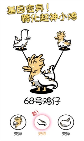 小鸡真奇怪图1