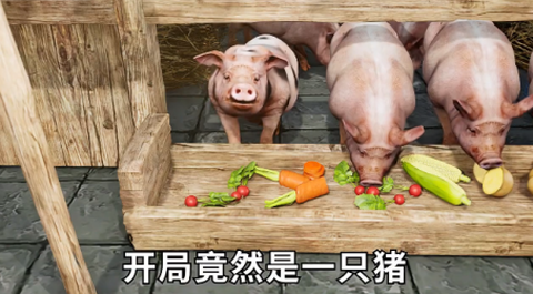 小小夜市[图3]