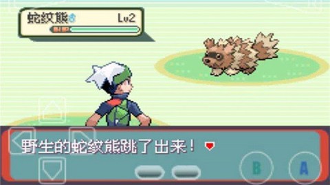 口袋妖怪绿宝石中文版图2