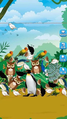 熊猫大师图2
