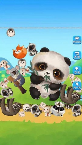 熊猫大师图3