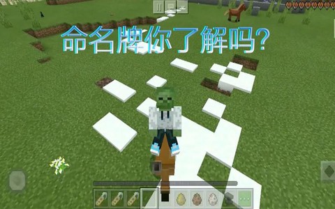 我的世界怎么用命令牌