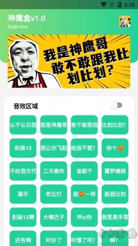 鹰哥语音包图1