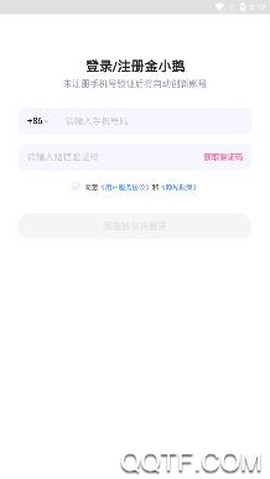 金小鹅[图3]