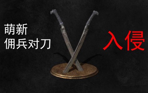 黑暗之魂3对刀怎么用[图2]