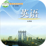 鲁教版英语九年级全一册