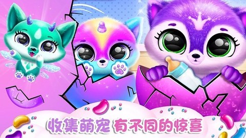 迷你小狗探险[图1]