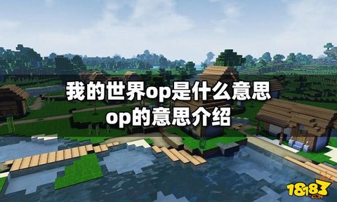 我的世界op是什么意思
