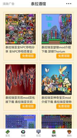 泰拉酒馆图3
