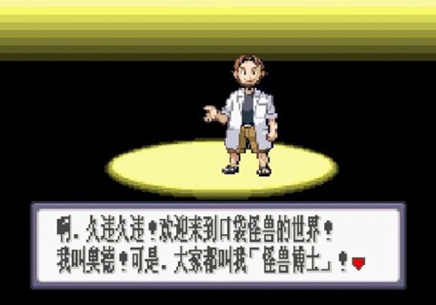 口袋妖怪红宝石图2