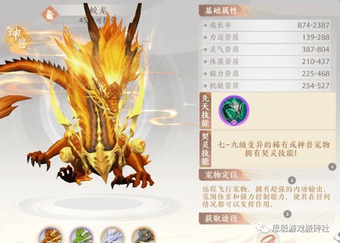 天龙八部手游宠物怎么[图2]