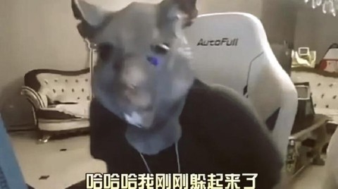 英雄联盟老鼠怎么玩[图2]