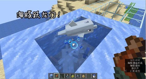 我的世界海豚有什么用
