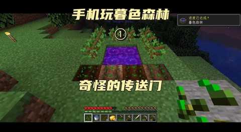 手机版我的世界怎么去暮色森林[图2]